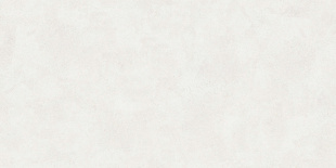 Керамогранит Buono Ceramica Emma Fiore Base Matt арт. EVL4802M (60x120) матовый